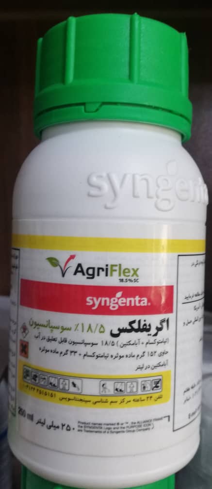 WhatsApp Image 2020-04-30 at 6.26.01 PM (1)