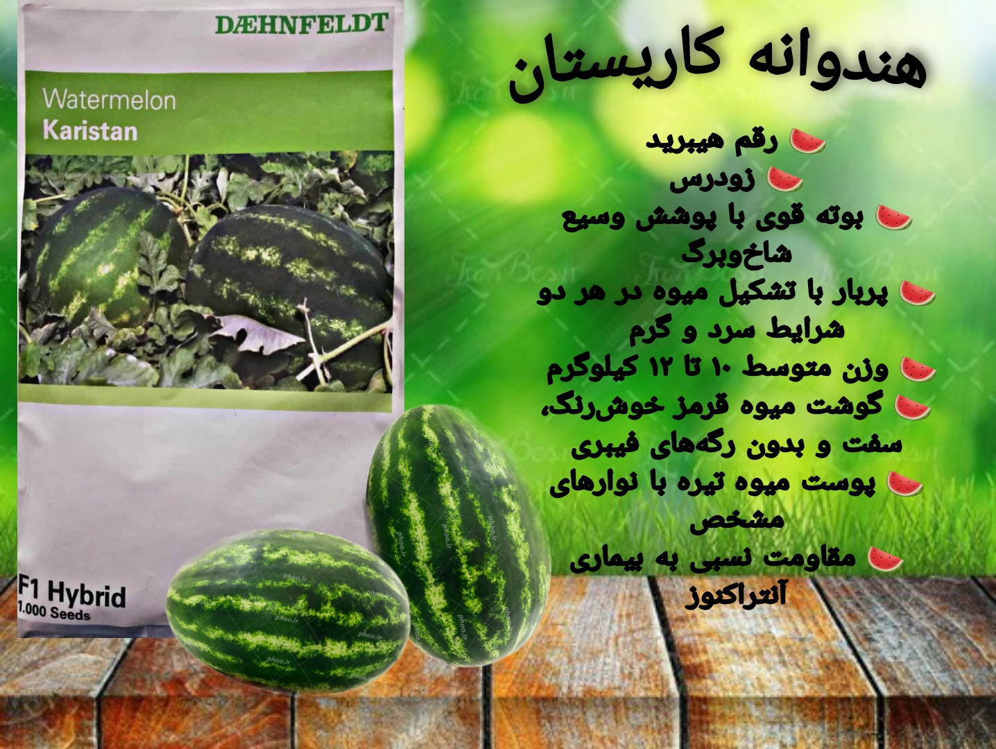 PicsArt_06-26-04.47.04