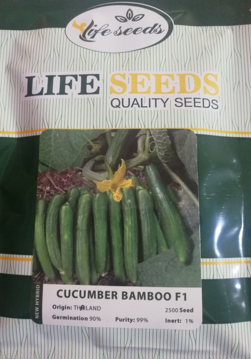 IMG_20221115_214451_806