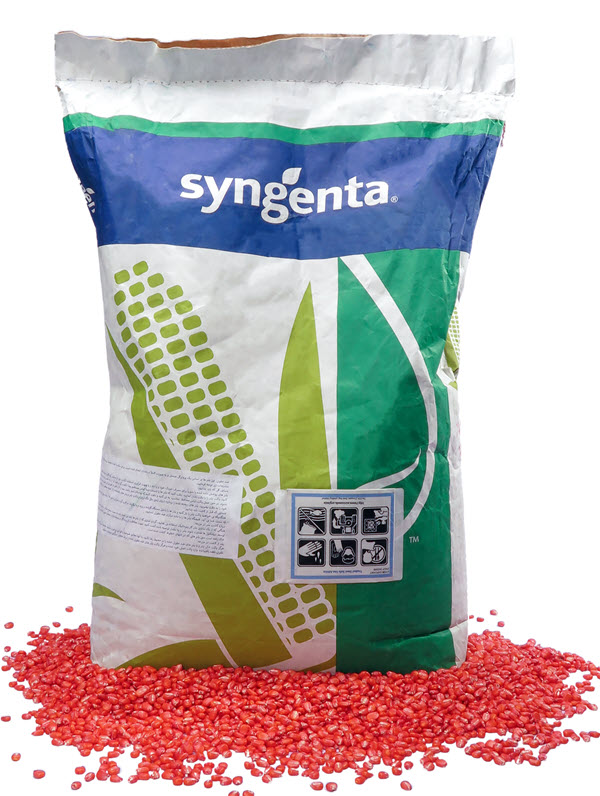 1170010003-ذرت-دراخما-کیسه-50000-عددی-3-1