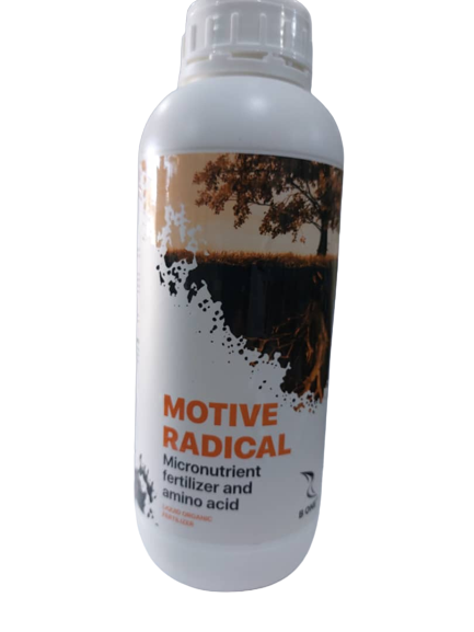 IMG-20230118-WA0004-removebg-preview