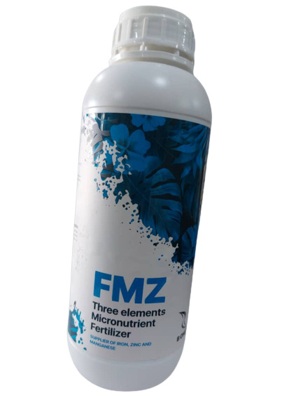 IMG-20230118-WA0005-removebg-preview