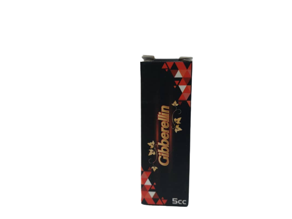 IMG-20230118-WA0008-removebg-preview