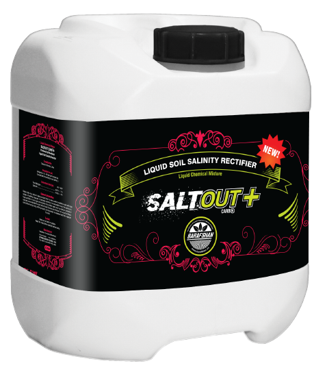 IMG_20230207_081045_404-removebg-preview