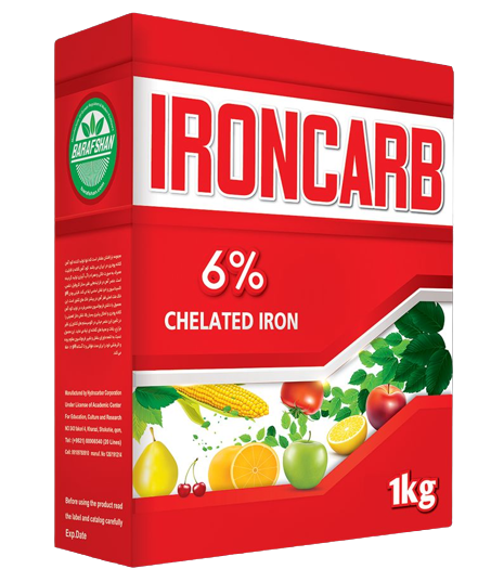 IMG_20230207_081239_035-removebg-preview