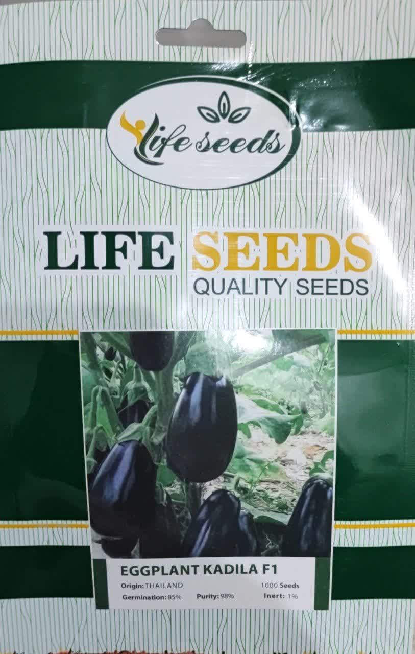 IMG_20230714_142022_587