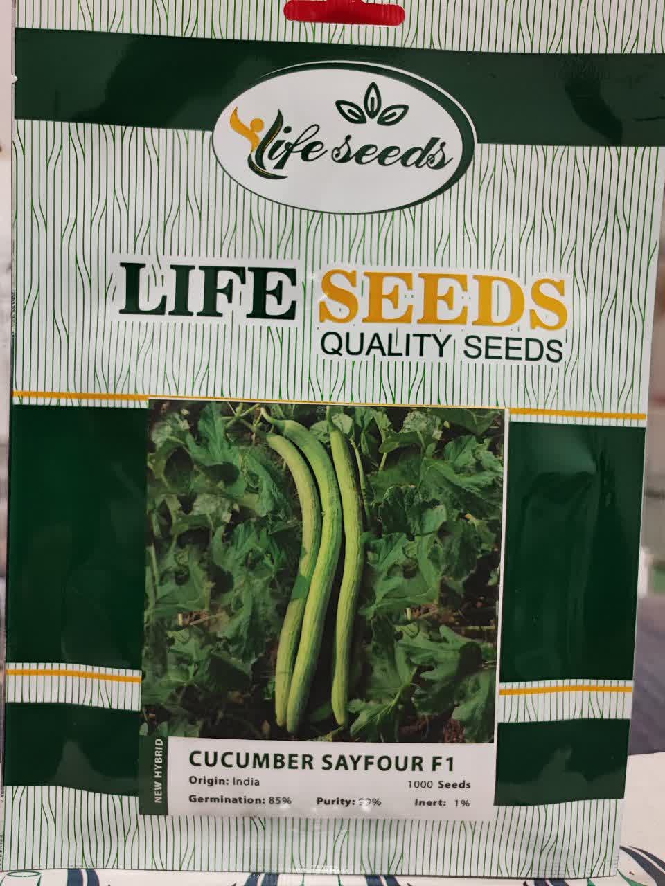 IMG_20230806_110650_932