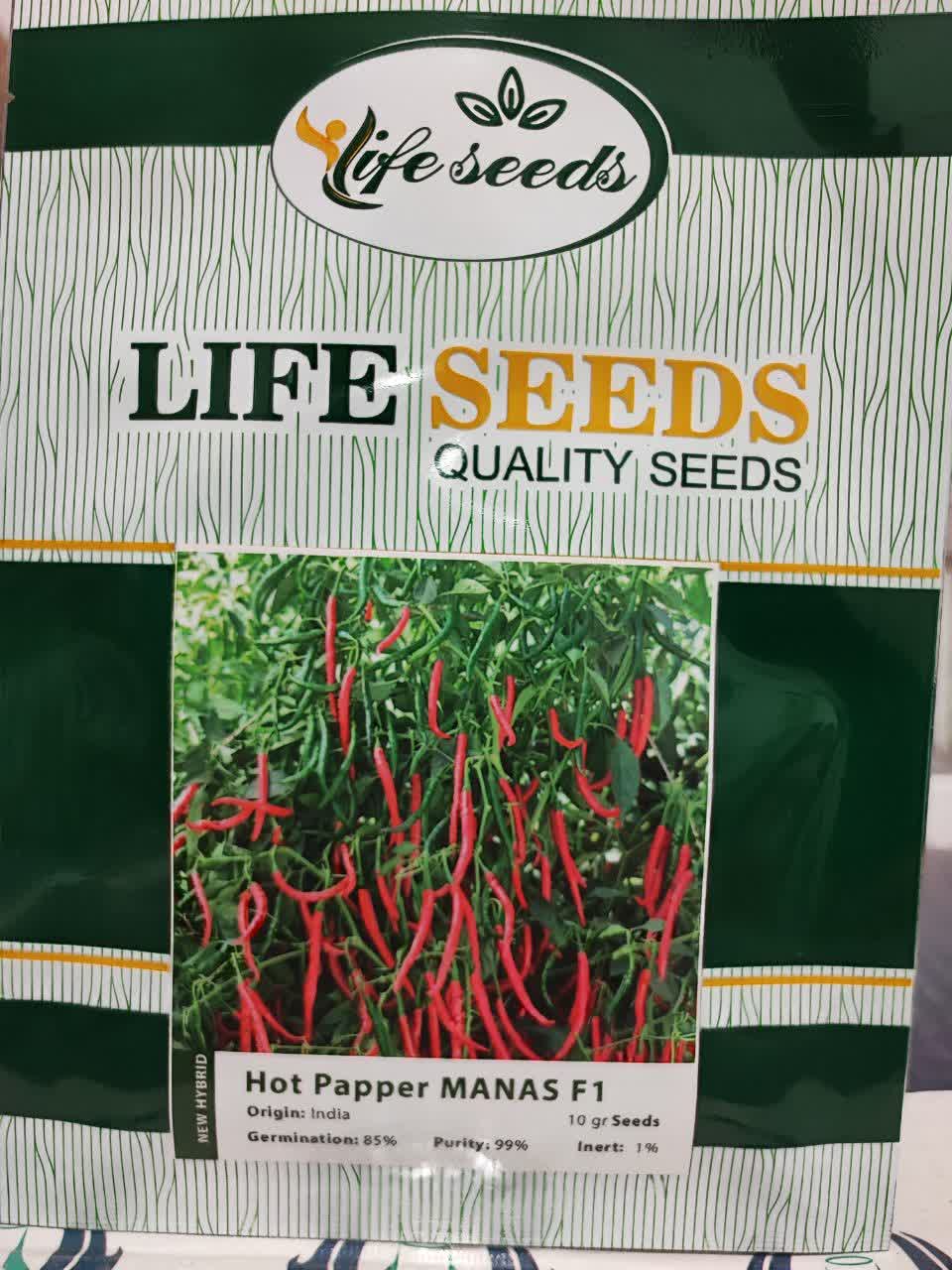 IMG_20230806_110654_213