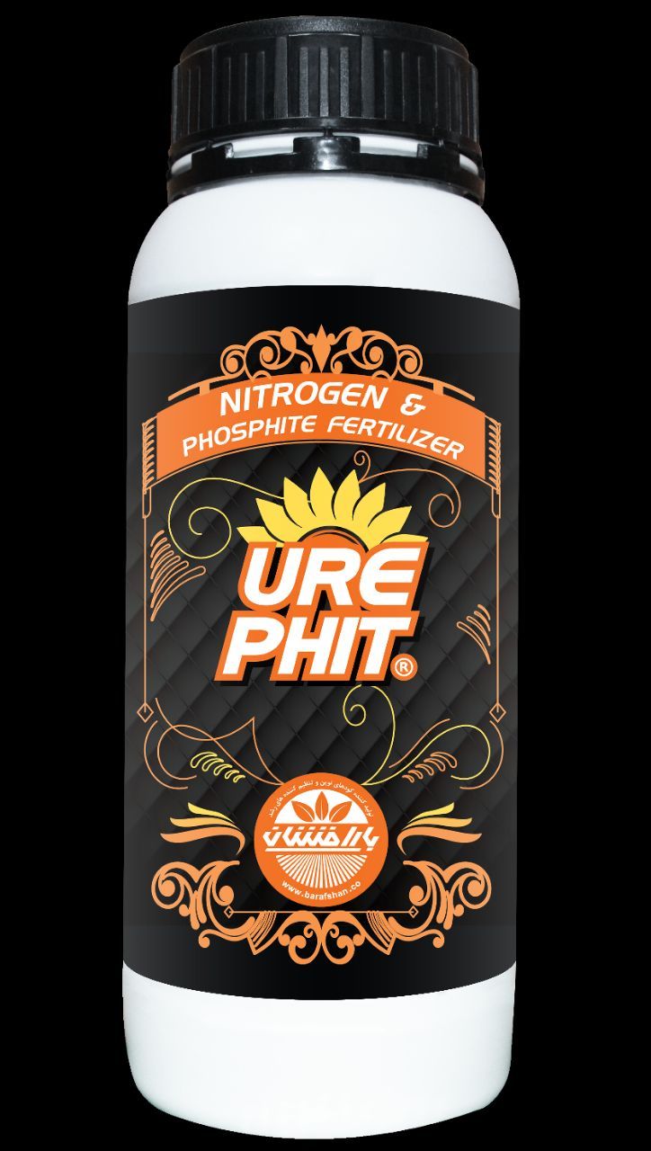 IMG_20230811_104734_345