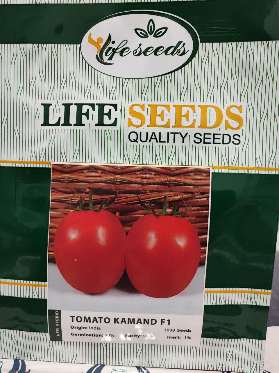 IMG_20230816_094448_572