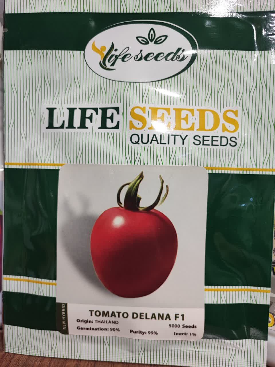 IMG_20231217_121753_054