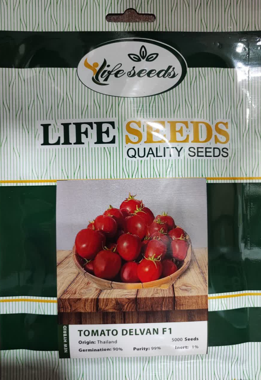 IMG_20240620_010234_475