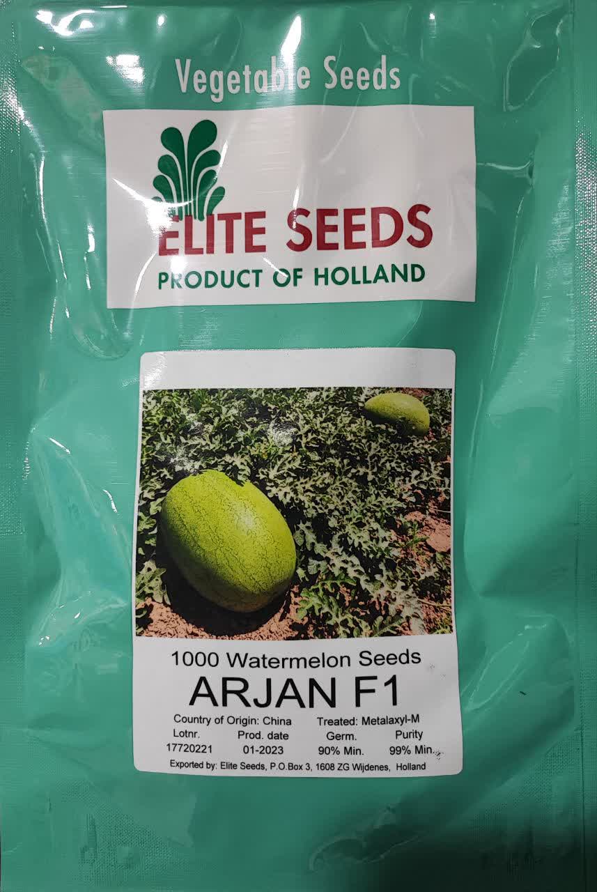 IMG_20240625_121221_398