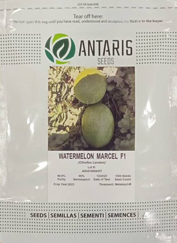 IMG_20240930_183548_258