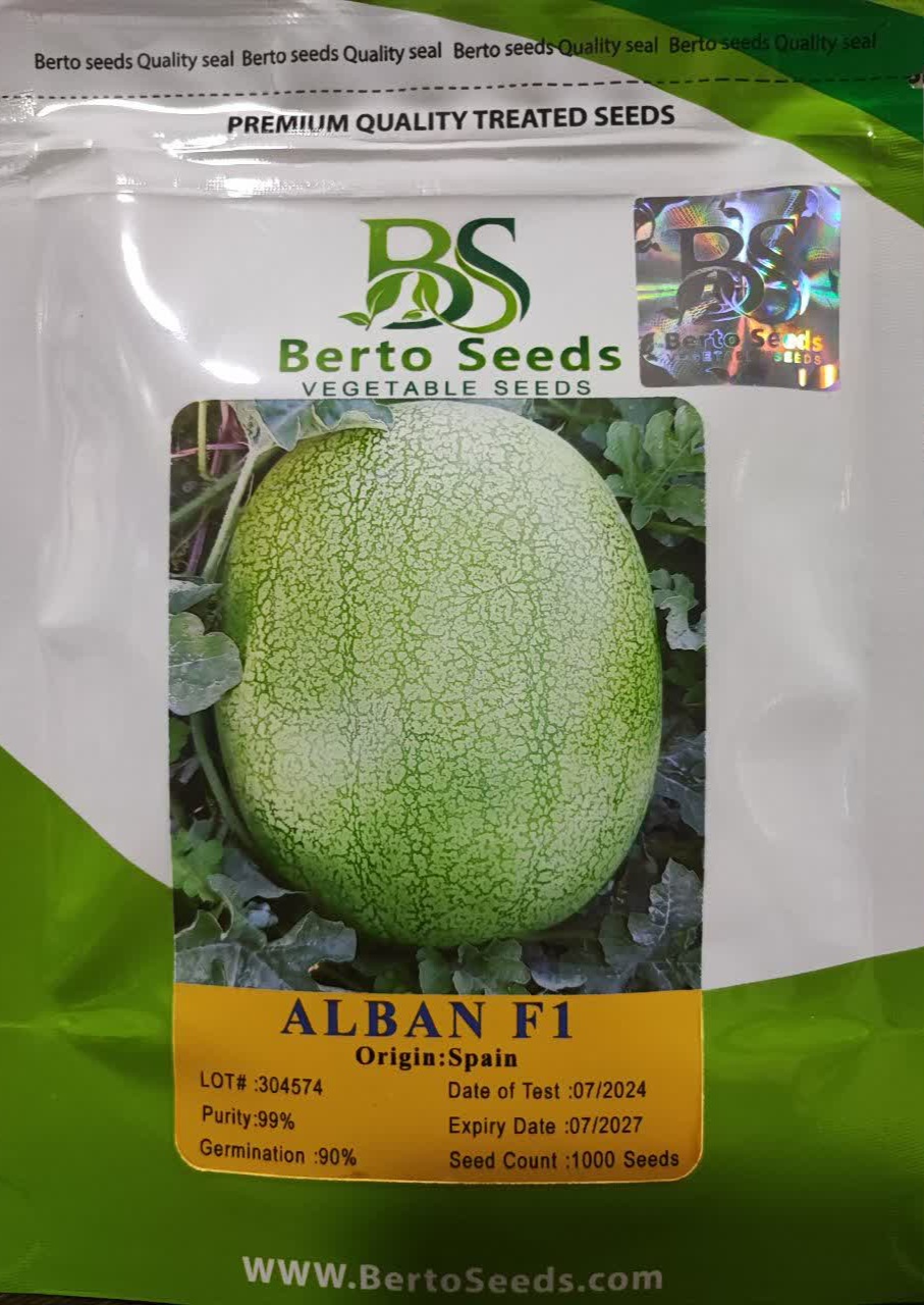 IMG_20241106_235544_018